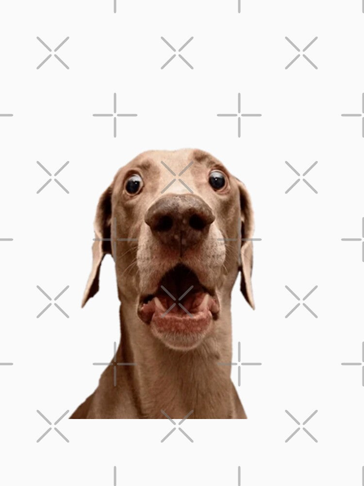 Funny dog by funny   artist