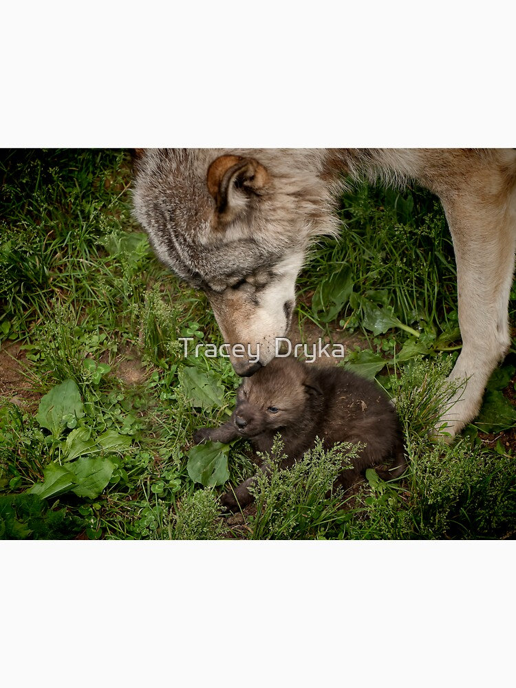 Tender Moment by Tracey  Dryka