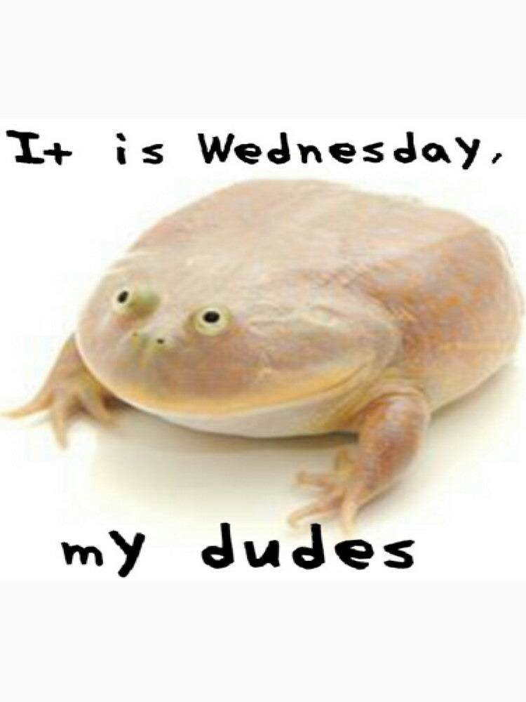 It is Wednesday my dudes by YoBoiRedgie