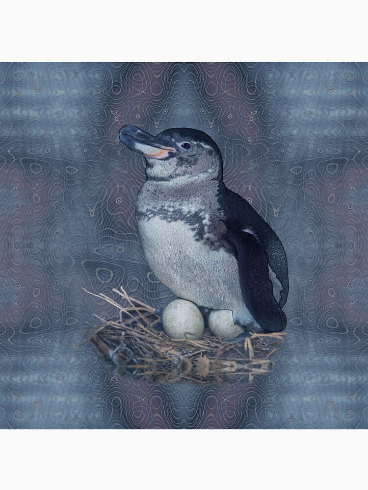 Galapagos penguin  with eggs by Snaret