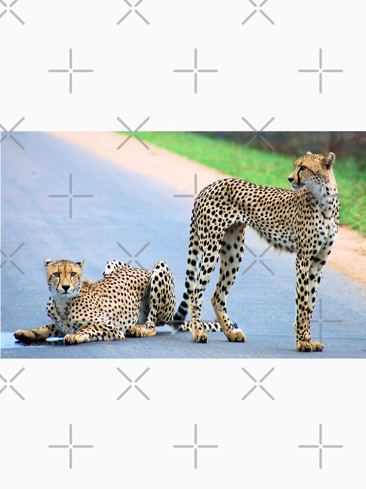 THE CHEETAH PAIR - Endangered species by Magriet Meintjes