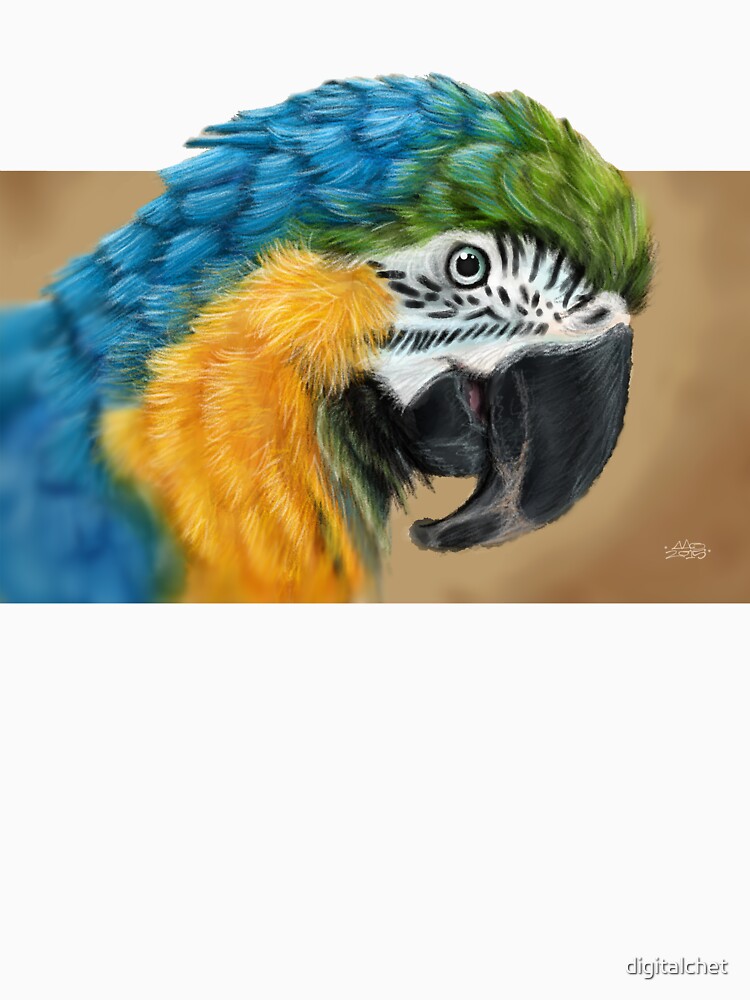 Macaw by digitalchet