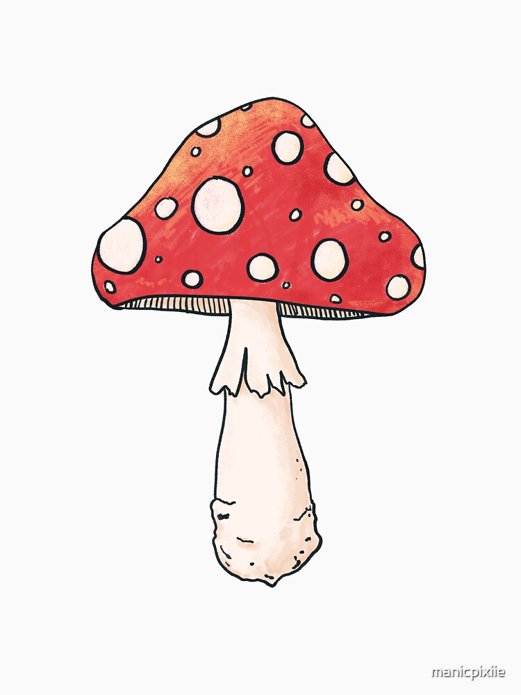 Cottagecore mushroom by manicpixiie