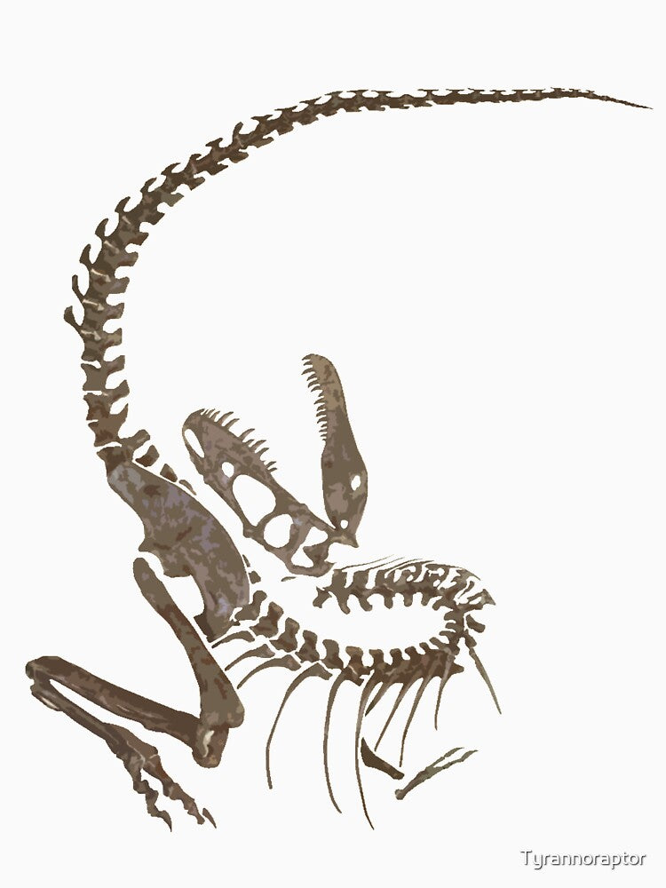 Gorgosaurus Fossilized Skeleton by Tyrannoraptor