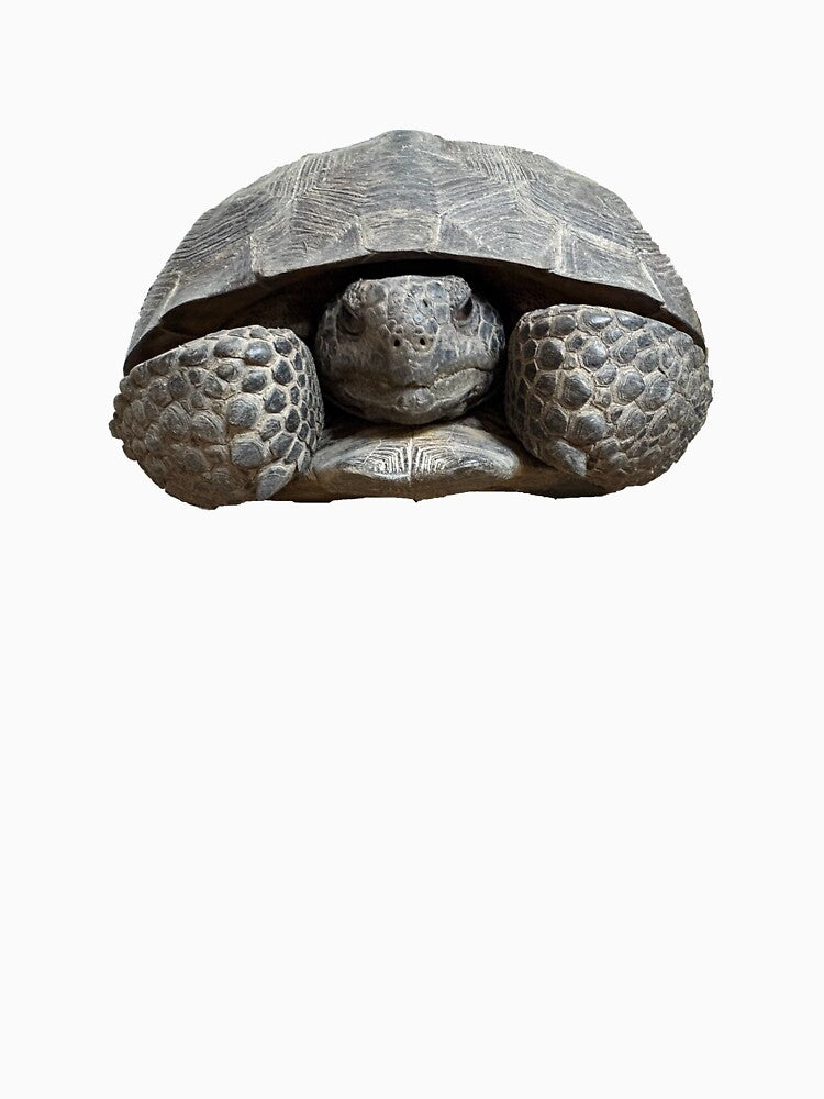 Smokey the Gopher Tortoise by SnowDog-Studios
