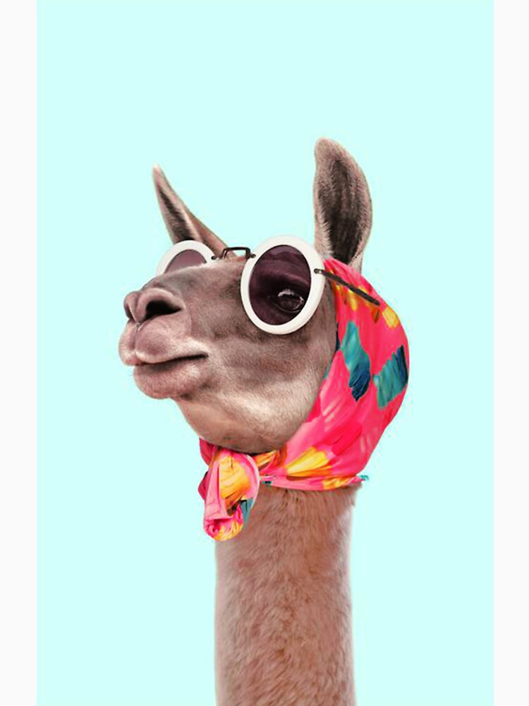 Llama Scarve by aleshaHarVard
