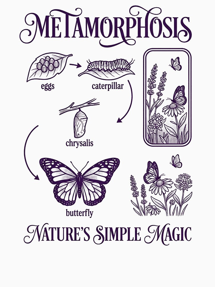 Butterfly Metamorphosis Cycle by SilverOutlining