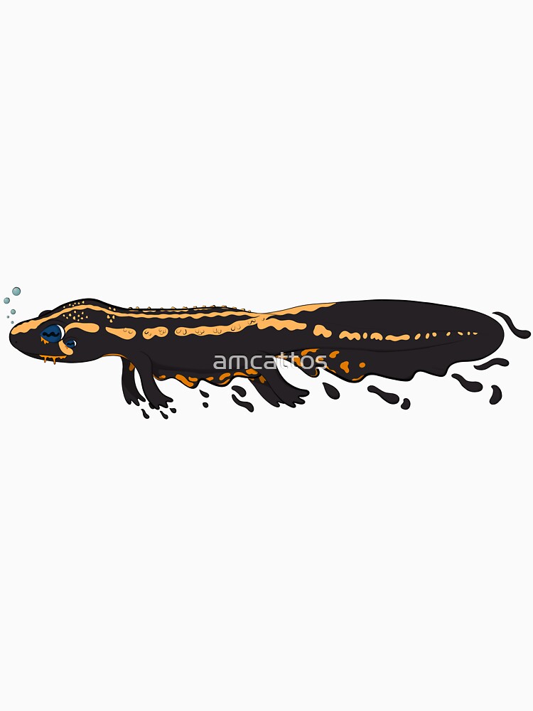 Laos Warty Newt (Laotriton laoensis) by amcattos