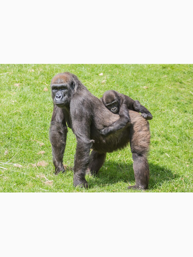 Gorilla mother and baby by Conservation Art Emporium