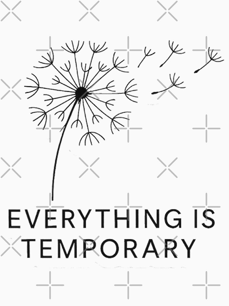 Everything Is Temporary by Random 00