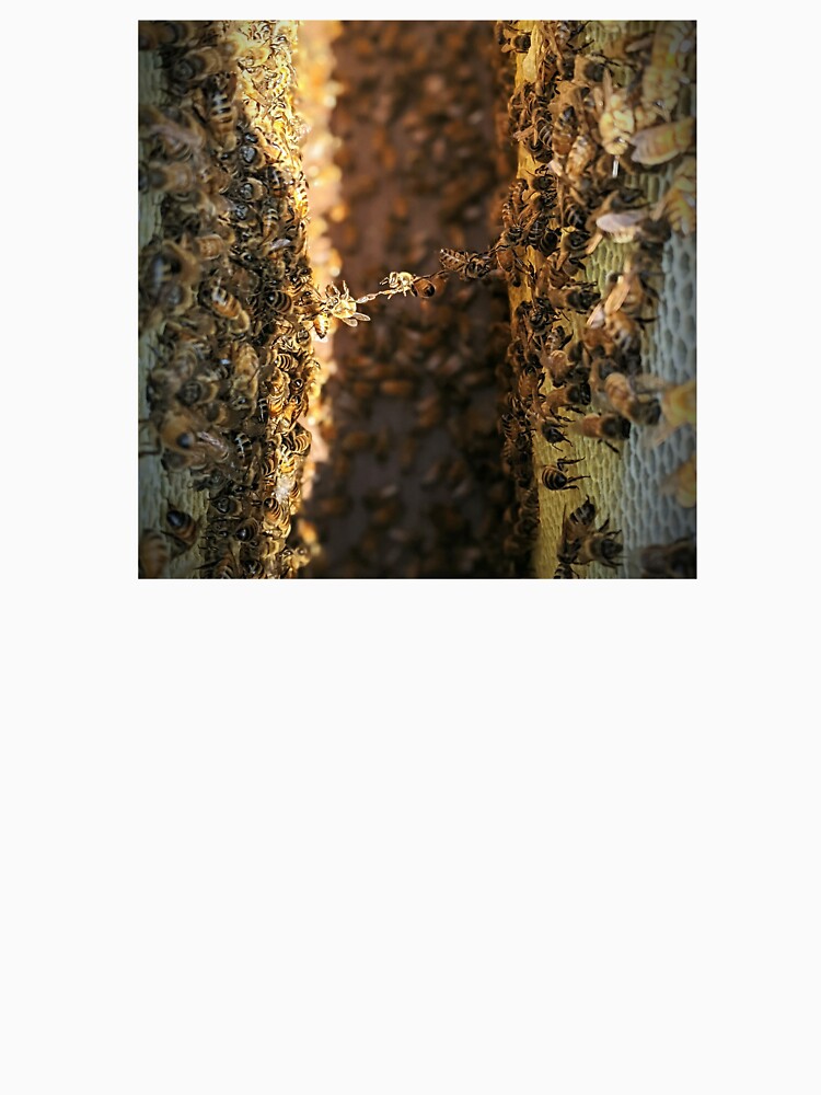 Honeybee Bridge by rosenathan06