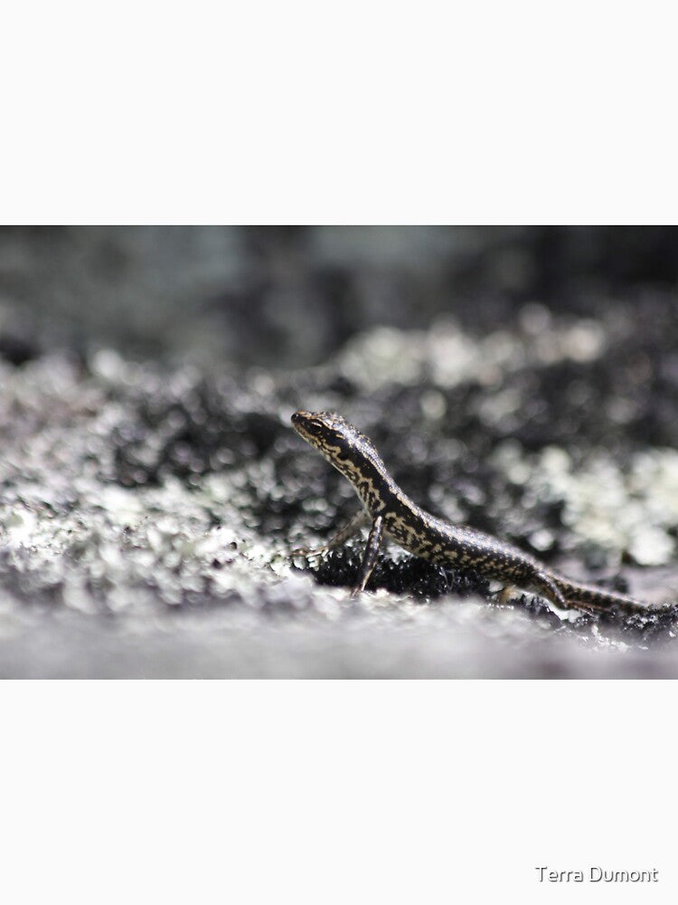 Baby Grand Skink by Terra Dumont