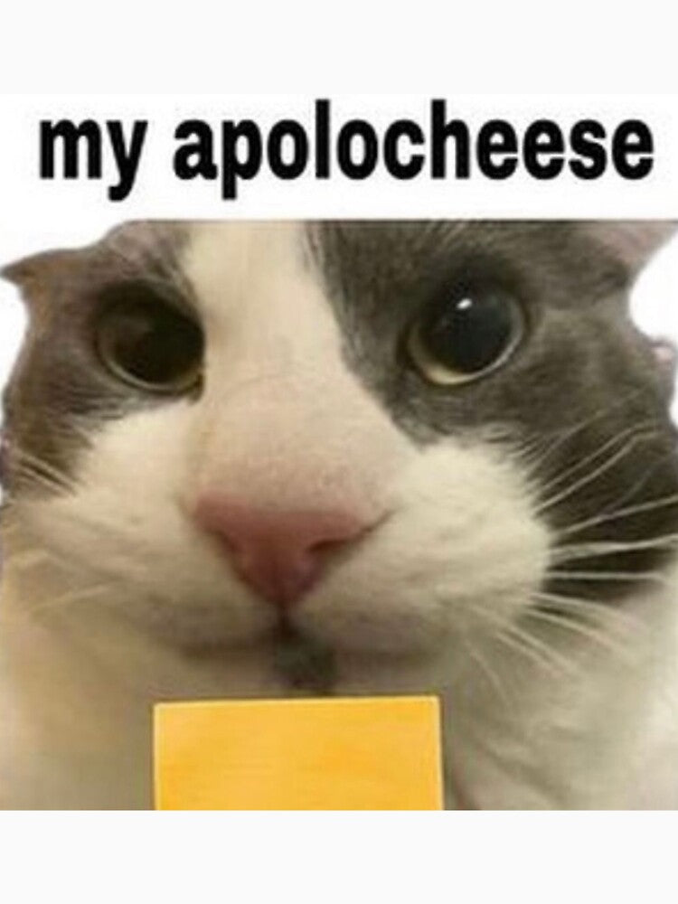My ApoloCheese Cat by KittyNTinyMitty