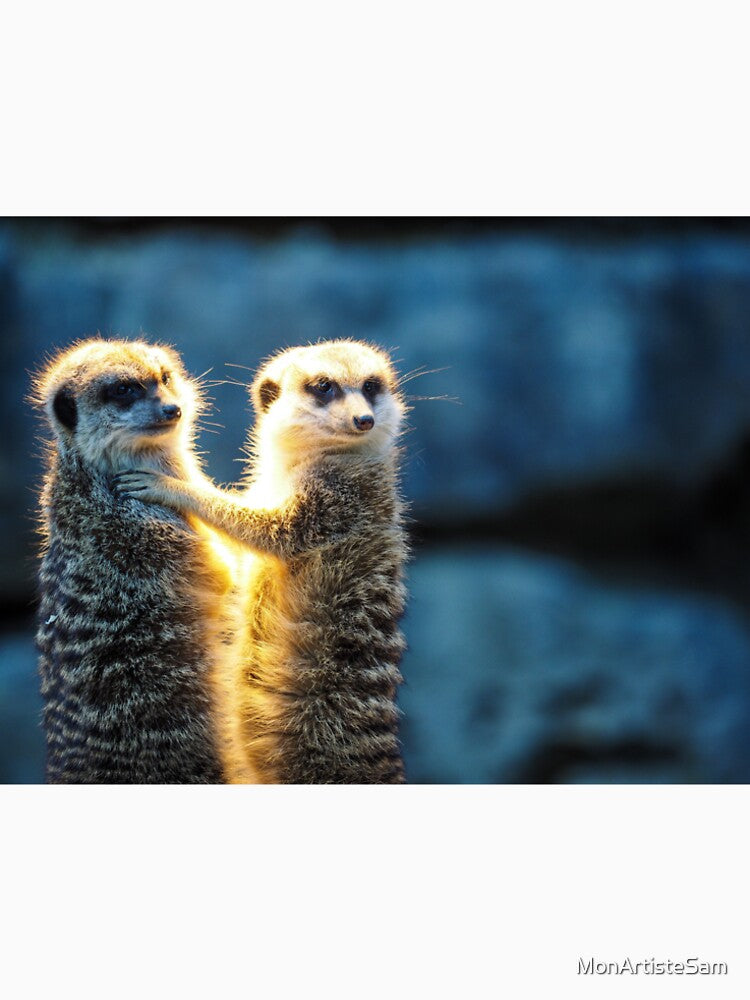 Meerkat Animal Mammal Endangered Species Zoo by MonArtisteSam