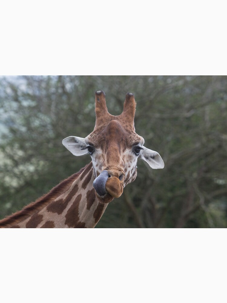 Giraffe by Conservation Art Emporium