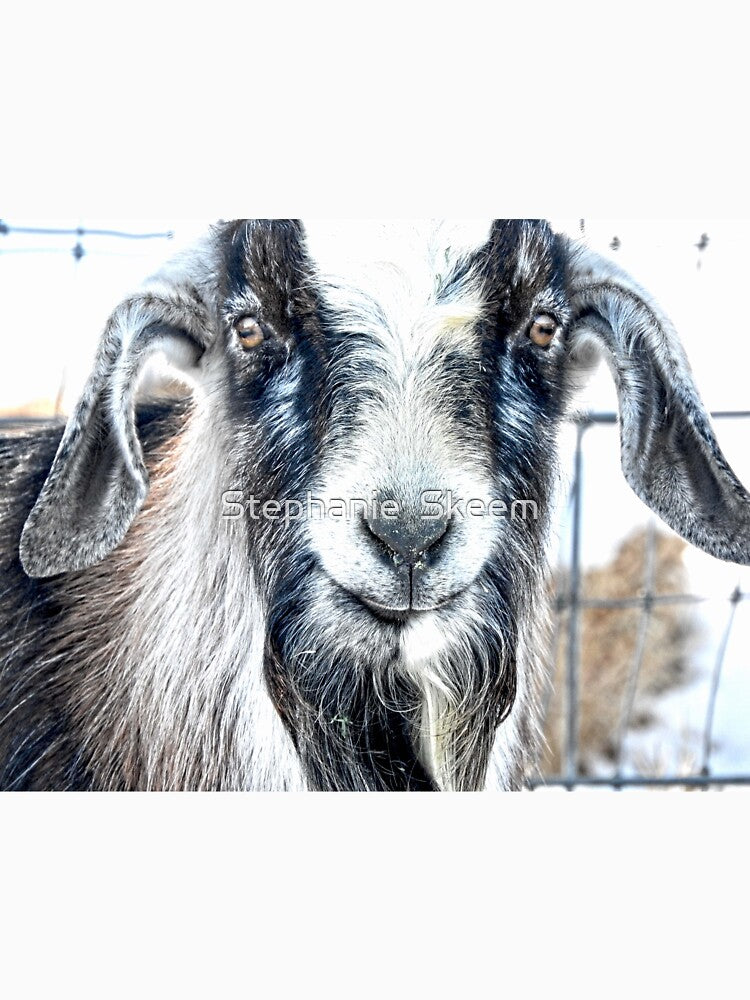 billy goat beard, goatee, panda goat by Stephanie  Skeem