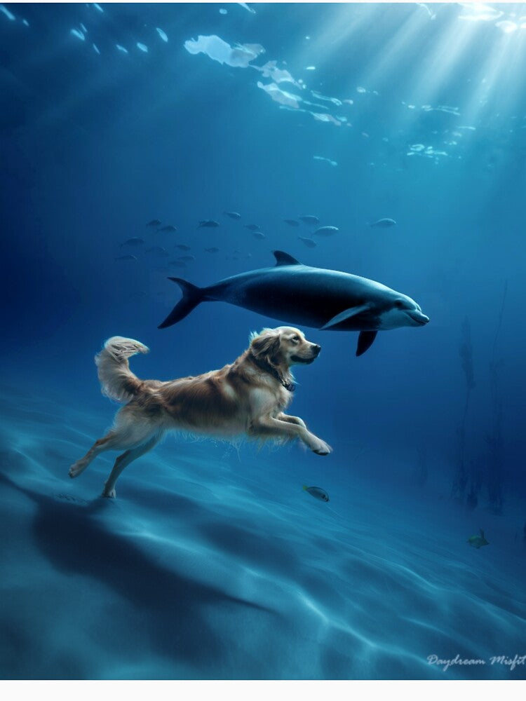 Animal Dreams: Dog and Dolphin by Kwandry