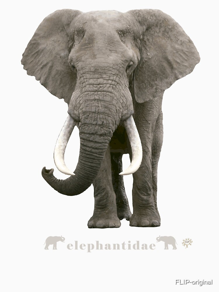 African Elephant by FLIP-original