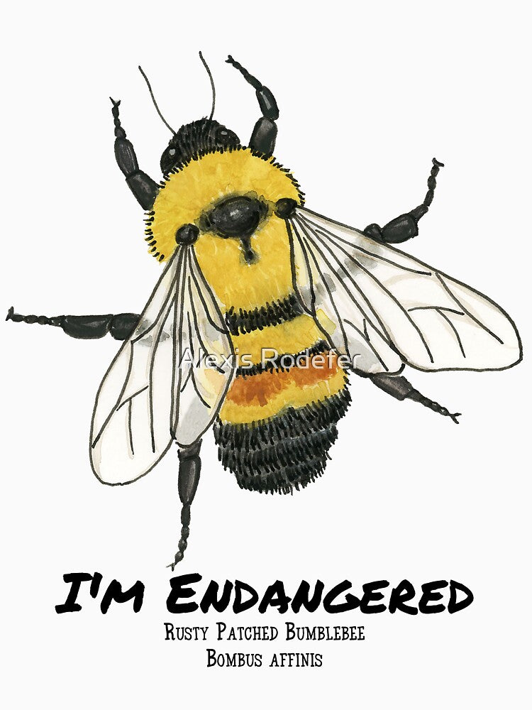 Rusty Patched Bumbleebee- I'm Endangered by Alexis Rodefer
