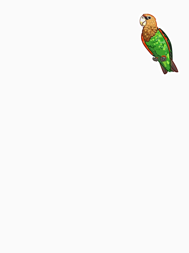 Animalia! Cape Parrot by Jackie Bonnema