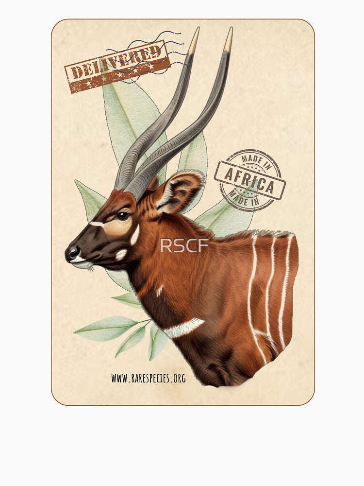 Vintage Mountain Bongo by RSCF by RSCF