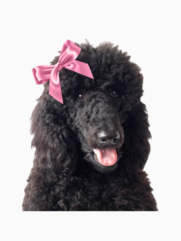 Poodle wearing bow by SillyLittleSnek