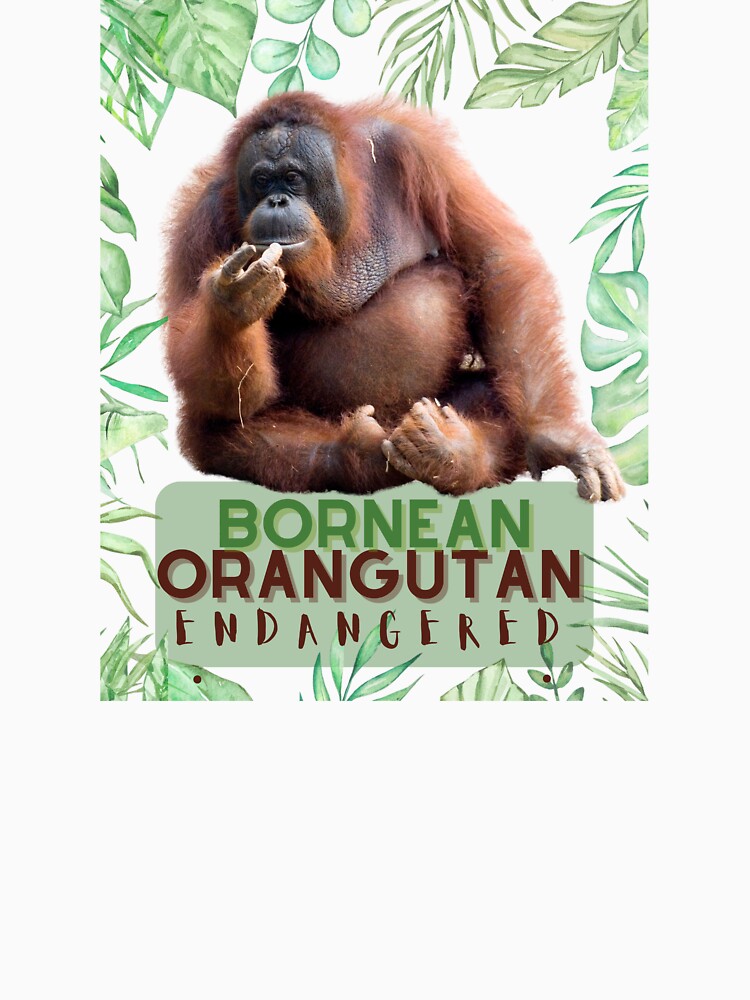 Bornean Orangutan by TemboDreams