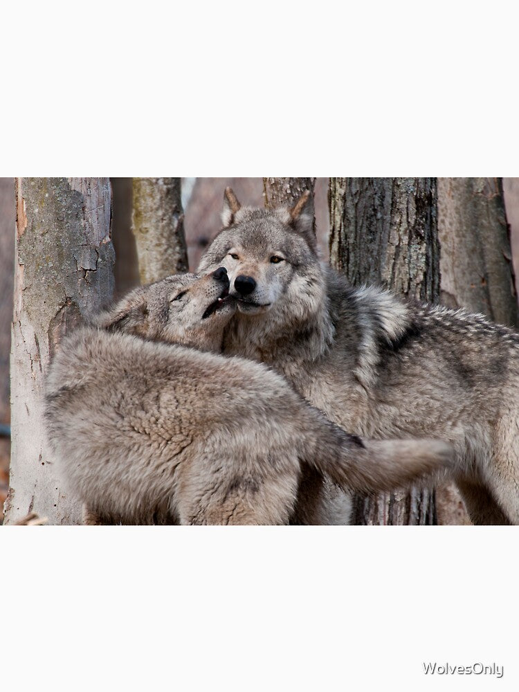 Love Bite by WolvesOnly