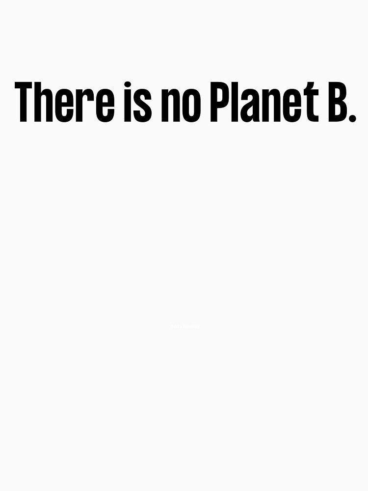 There is no Planet B, there is no Plan B, climate change, glogal healing,socially conscious, planet earth, warming, wizard wordsmith by WizardWordSmith