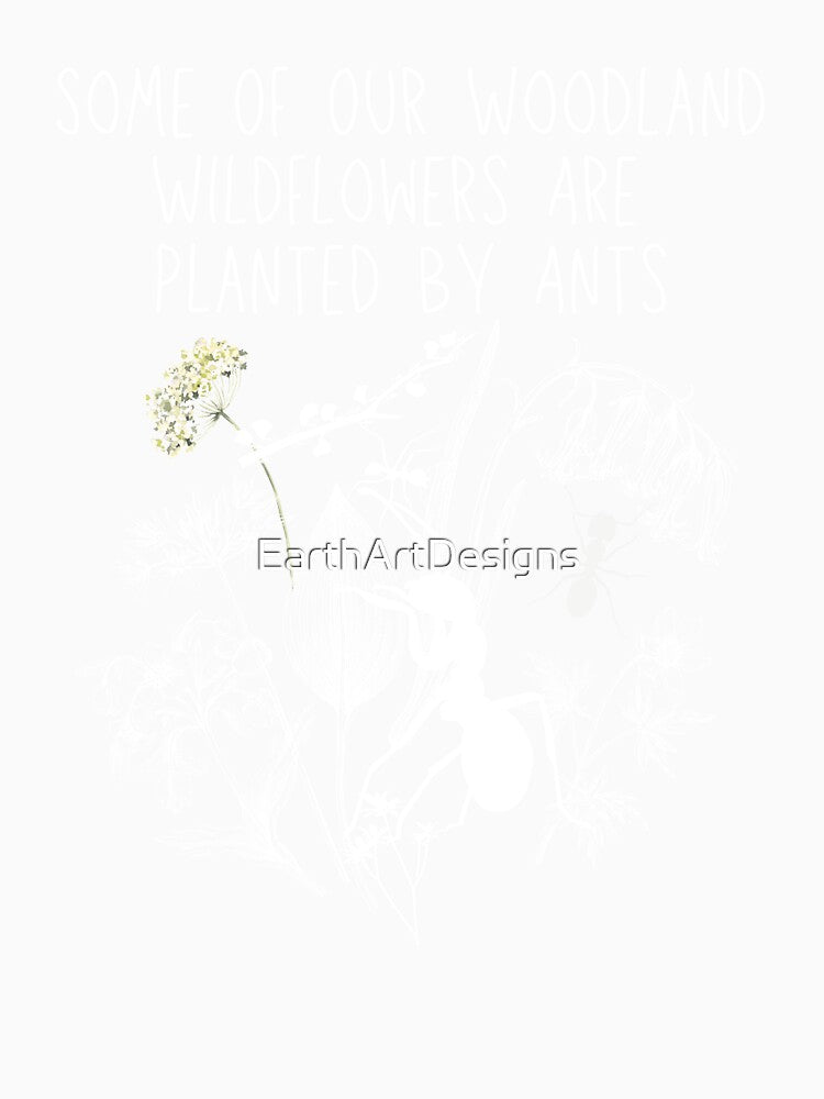 Some Of Our Woodland Plants Are Planted By Ants Drawing Design by EarthArtDesigns