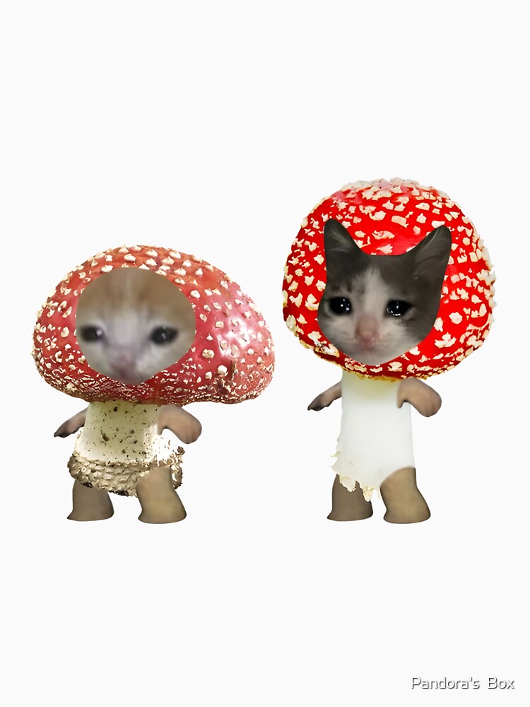 Sad mushroom cats by Pandora's  Box