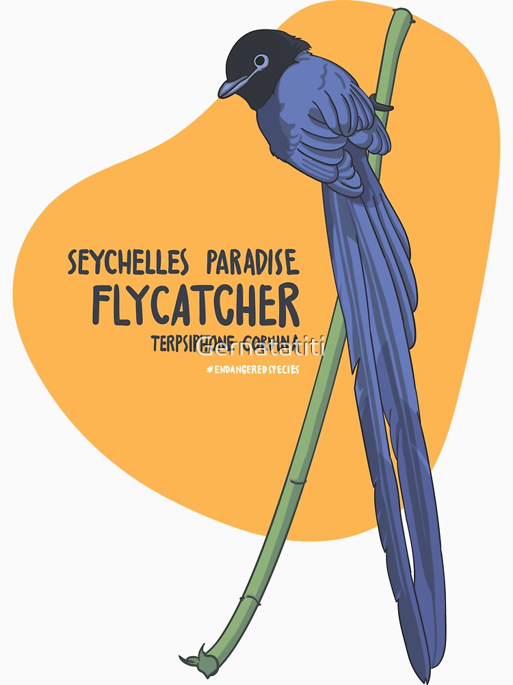 The Seychelles Paradise Flycatcher by Gernatatiti
