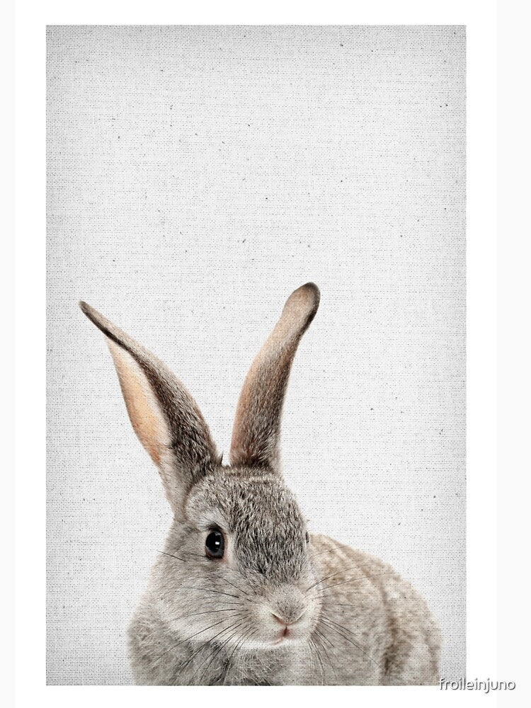 Rabbit 34 by froileinjuno