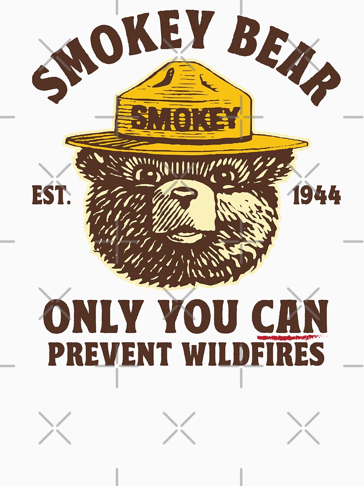 PREVENT WILDFIRES SMOKEY BEAR by TonySpencer