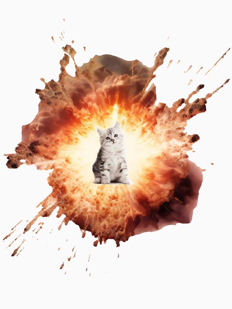 Cat with an explosion of cuteness. by nuila