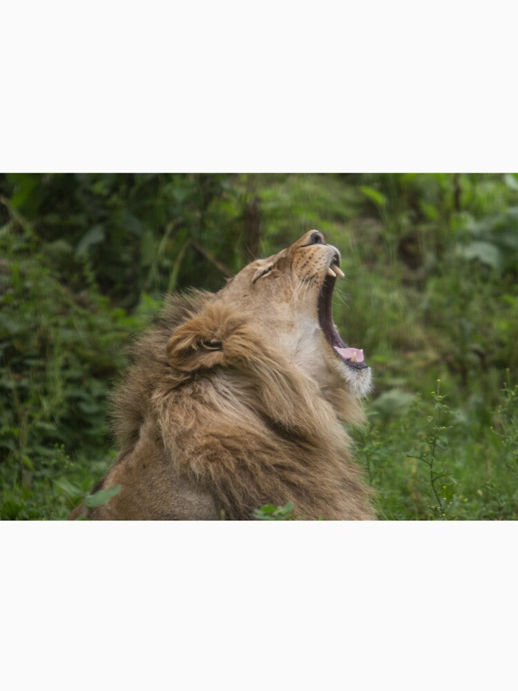Lion by Conservation Art Emporium