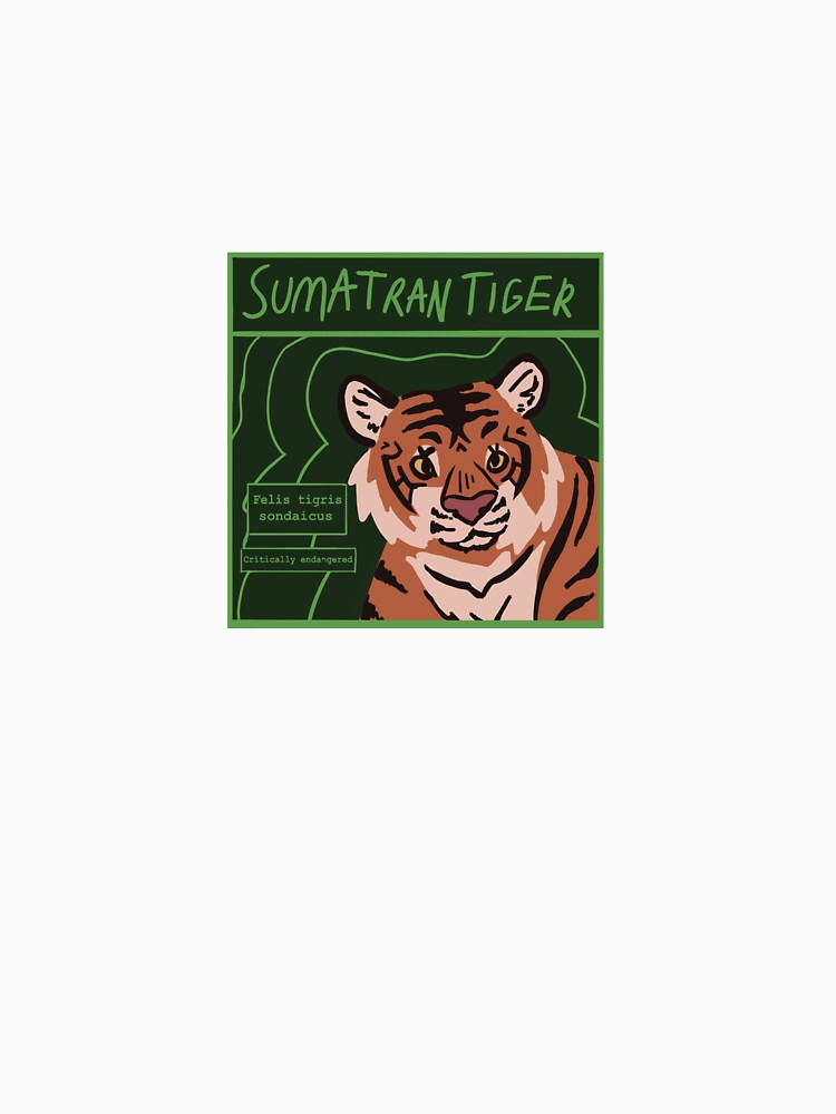 Sumatran tiger square by Friends of Wolves
