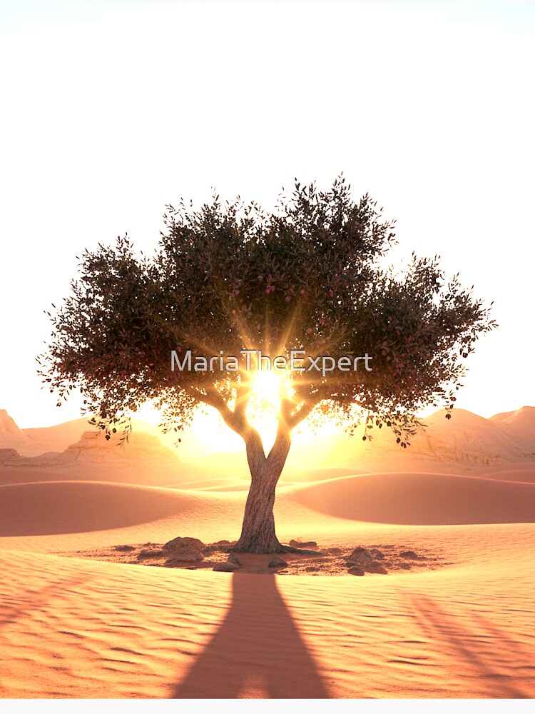 The Rising Sun and the Desert Olive Tree by MariaTheExpert