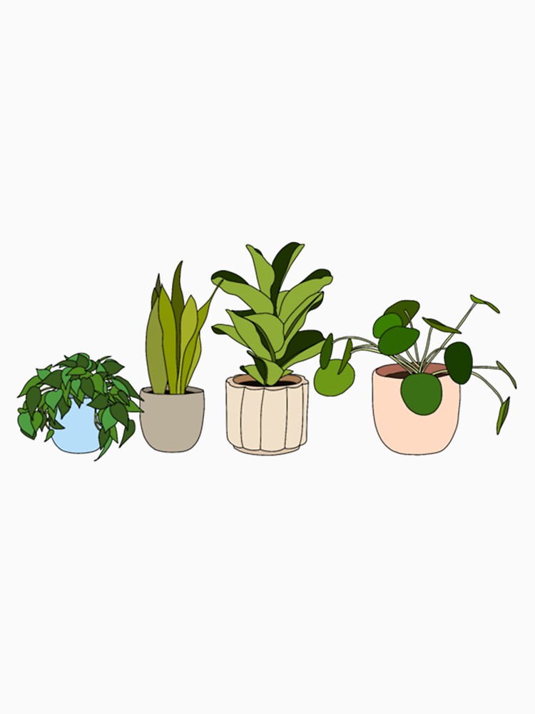 Plants by strawberryds