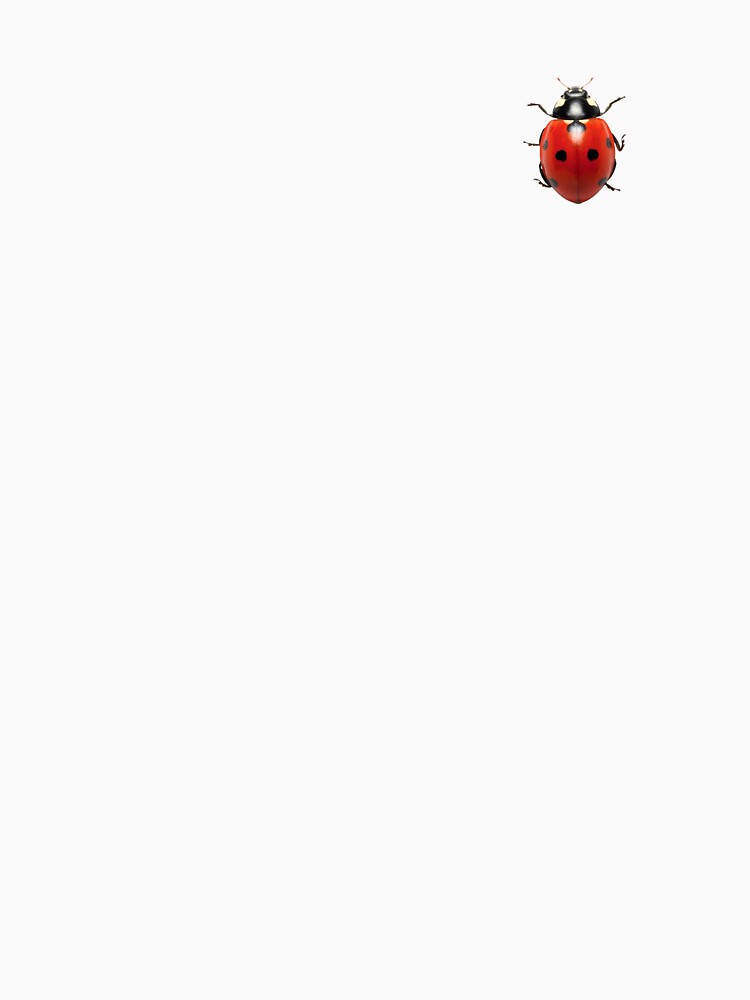 aesthetic cutie little ladybug by kelizzies