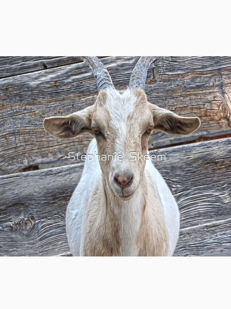 beautiful goat beautiful wood by Stephanie  Skeem