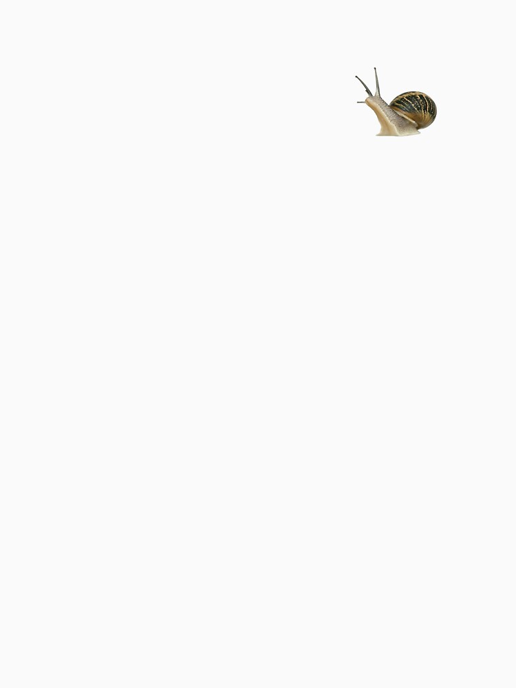 aesthetic cutie little snail by kelizzies