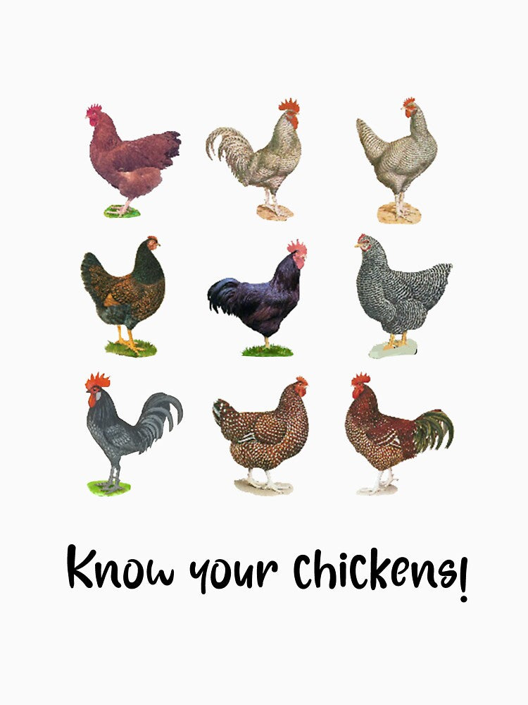 Chicken,chicken Lover, Farm,chicken Mom, Pecker, Chicken Vintage by RonaldDesigner