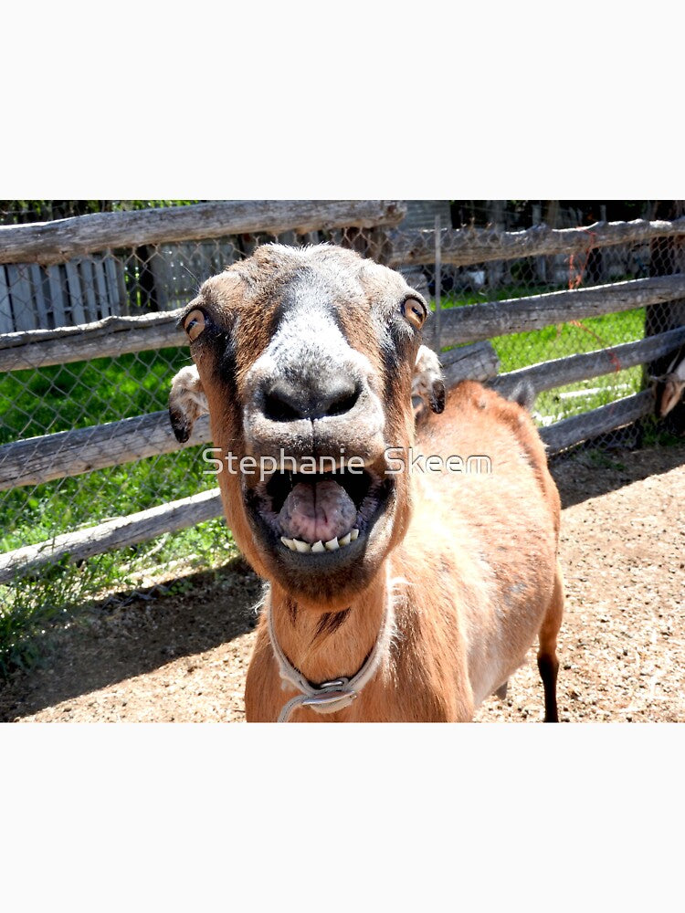 smiling goat, yelling goat, funny goat by Stephanie  Skeem