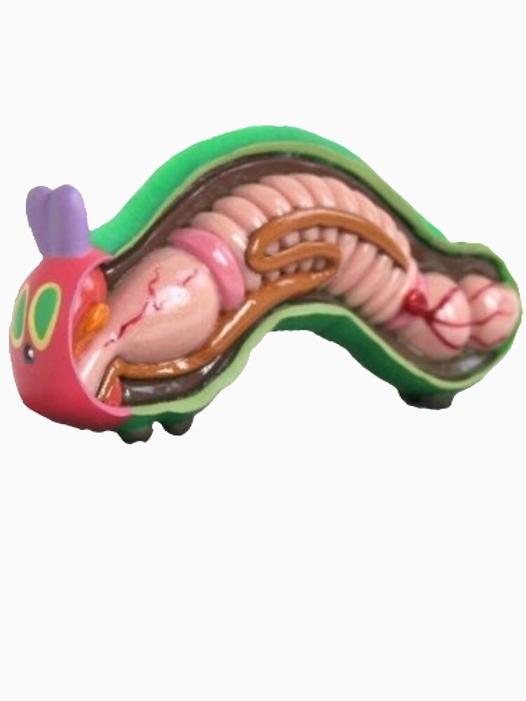 The Hungry Caterpillar Anatomy by DieMind