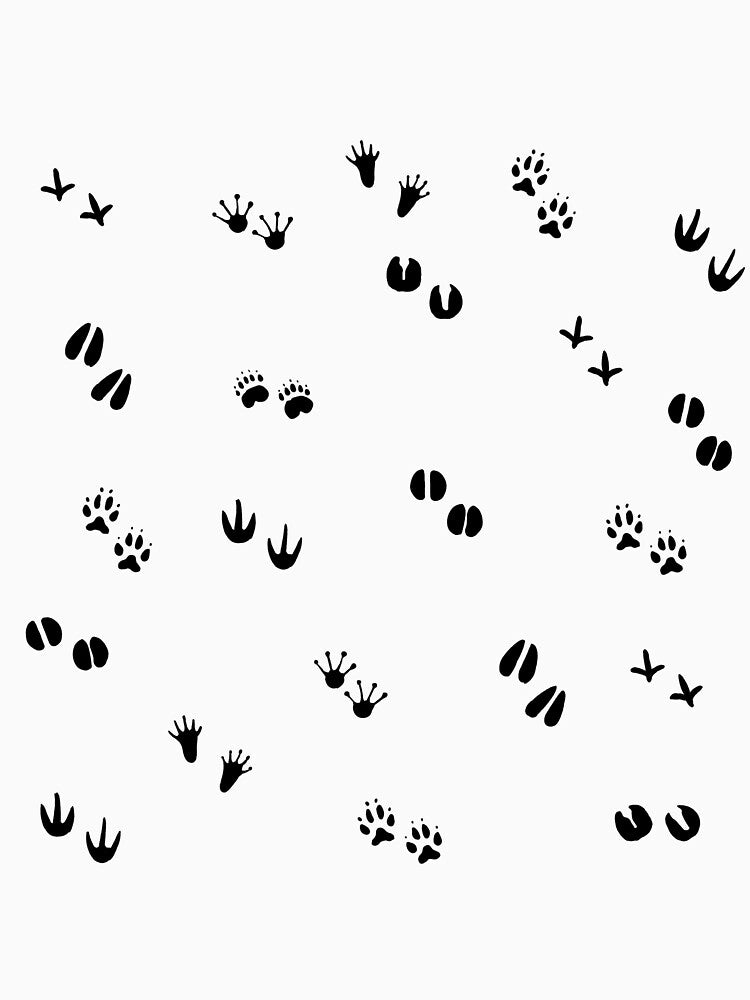 Paw Prints Dark by meiyorrr