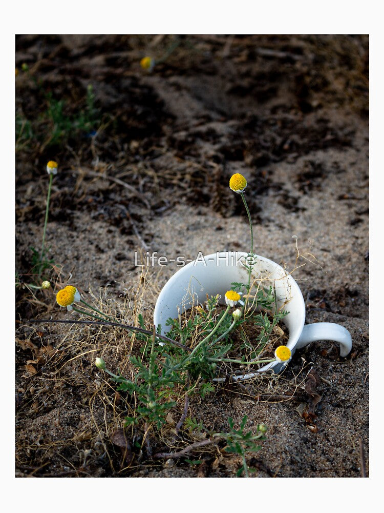 Chamomile growing in a mug by Life-s-A-Hike