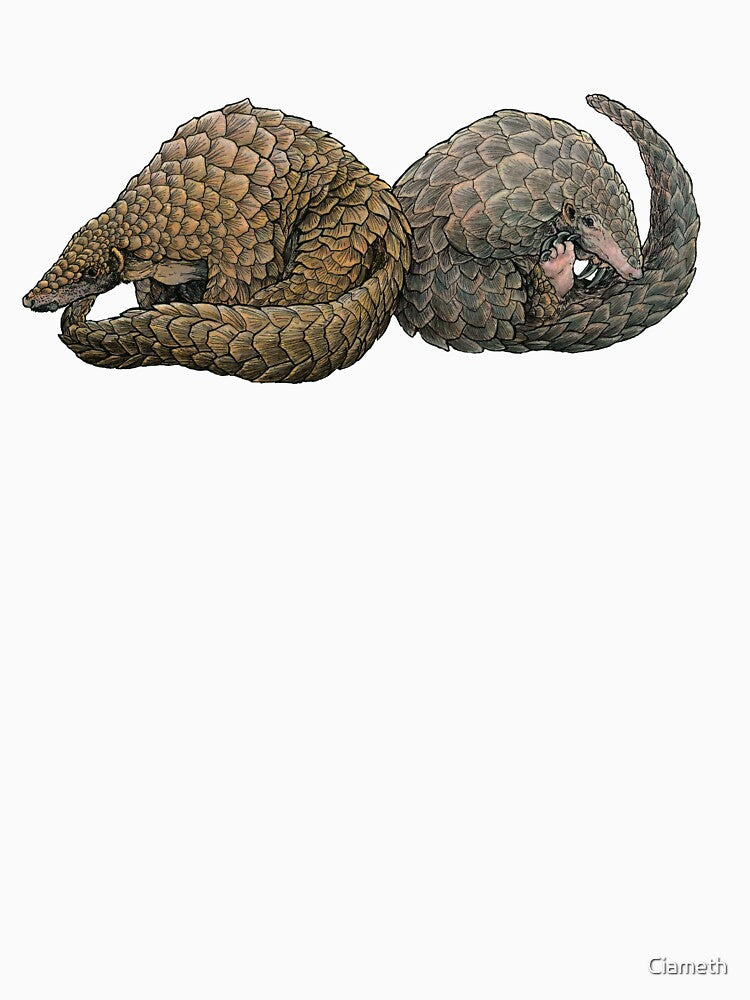 Sunda & Chinese Pangolin by Ciameth