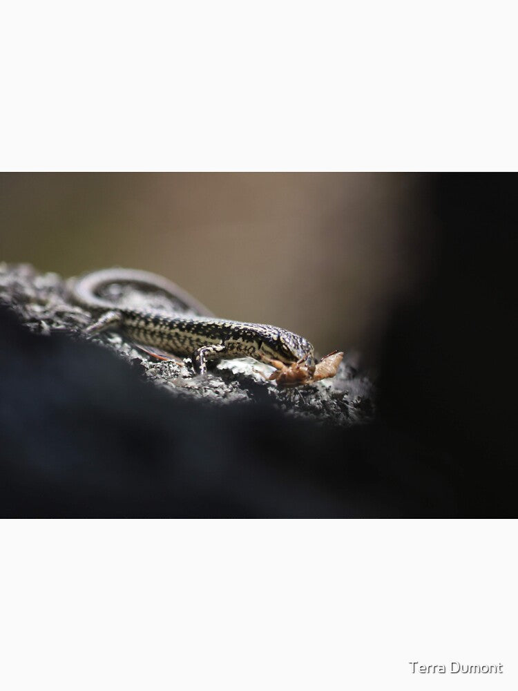 Grand skink - snack time! by Terra Dumont