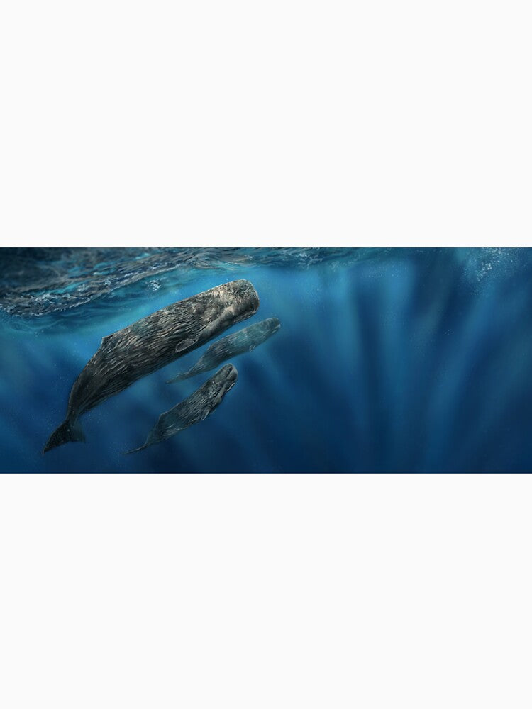 World Whale Day by alandodrawing